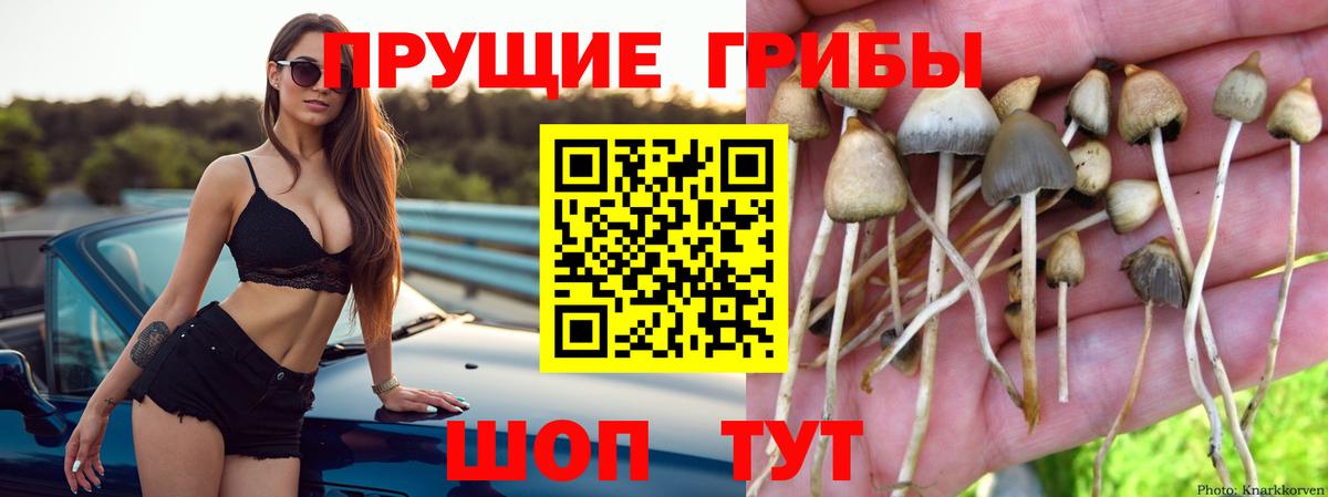 Псилоцибиновые грибы MAGIC MUSHROOMS Ртищево